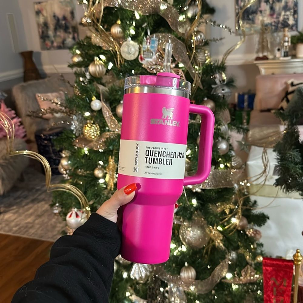 💕✨ NWT Stanley 40 oz. Quencher H2.0 FlowState Tumbler Camelia new Pink 💕✨